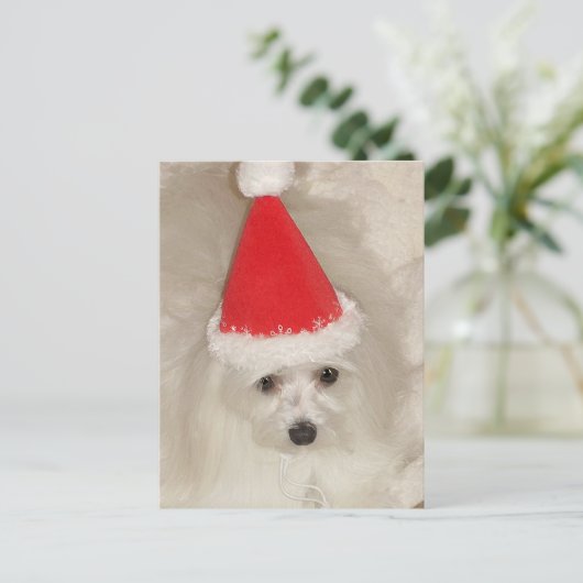 Malteser Weihnachten (Stehend Vorderseite)