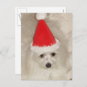 Malteser Weihnachten (Vorne/Hinten)