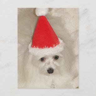 Malteser Weihnachten