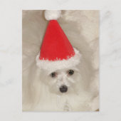 Malteser Weihnachten (Vorderseite)