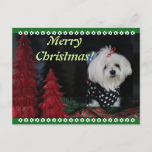 Malteser Weihnachten