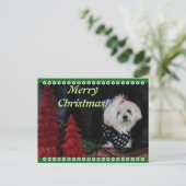 Malteser Weihnachten (Stehend Vorderseite)