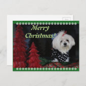 Malteser Weihnachten (Vorne/Hinten)