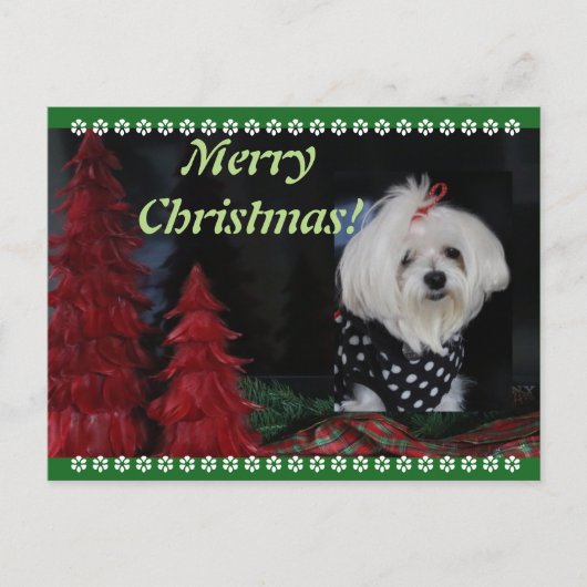 Malteser Weihnachten (Vorderseite)