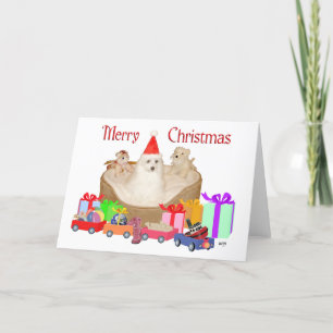 Malteser Weihnachten