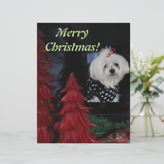 Malteser Weihnachten Briefbogen (Stehend Vorderseite)