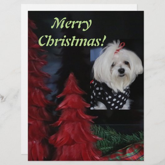 Malteser Weihnachten Briefbogen (Vorne/Hinten)