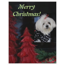 Malteser Weihnachten