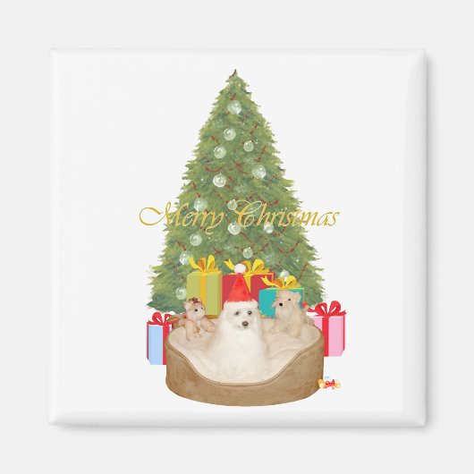 Malteser Weihnachten Magnet (Vorne)