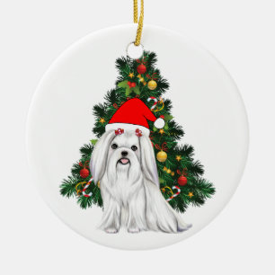 Malteser Weihnachten, maltesischer Hund mit Weihna Keramik Ornament