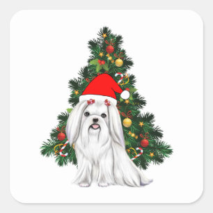 Malteser Weihnachten, maltesischer Hund mit Weihna Quadratischer Aufkleber
