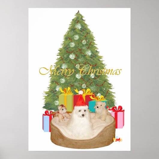 Malteser Weihnachten Poster (Vorne)