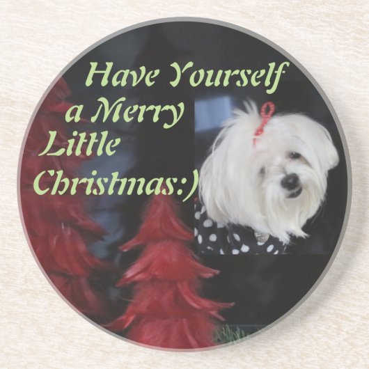 Malteser Weihnachten Sandstein Untersetzer (Vorne)