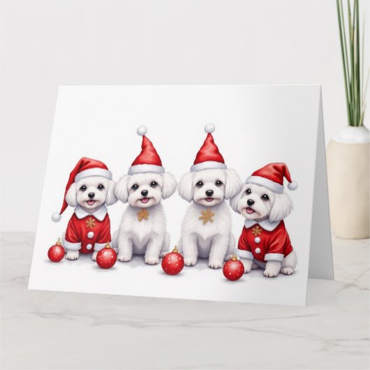 Malteser-Weihnachtskleid Santa-Hut Karte (Vorderseite)