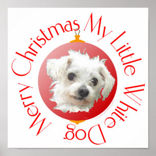 Malteser Weihnachtskleiner Weißer Hund Poster