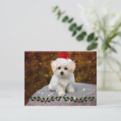 Malteser Weihnachtswelpe Postkarte (Stehend Vorderseite)