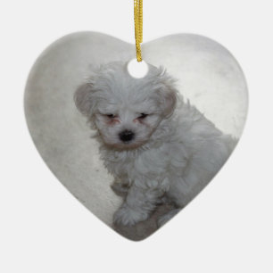 Malteser Welpe (9 Monate alt) Keramik Ornament