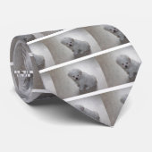 Malteser Welpe (9 Monate alt) Krawatte (Gerollt)