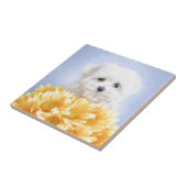 Malteser Welpe Fliese (Seite)