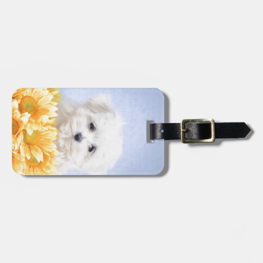 Malteser Welpe Gepäckanhänger (Vorderseite horizontal)