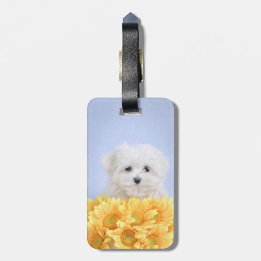 Malteser Welpe Gepäckanhänger (Rückseite vertikal)