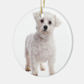 Malteser Welpe Keramik Ornament (Links)