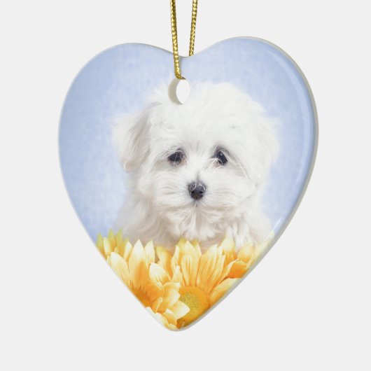 Malteser Welpe Keramikornament (Links)