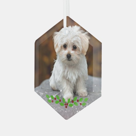 Malteser Welpe mit Weihnachtsholz Ornament Aus Glas (Vorderseite Links)