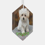 Malteser Welpe mit Weihnachtsholz Ornament Aus Glas (Vorderseite Rechts)
