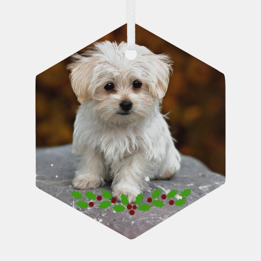 Malteser Welpe mit Weihnachtsholz Ornament Aus Glas (Rückseite)