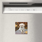 Malteser Welpe, oh so niedlich, Magnet (In Situ (Geschirrspüler))