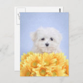 Malteser Welpe Postkarte (Vorne/Hinten)