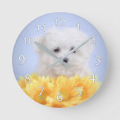 Malteser Welpe Runde Wanduhr (Vorderseite)