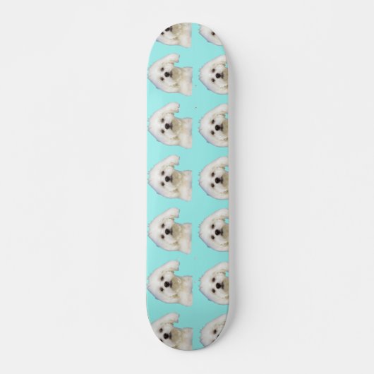 Malteser Welpe Skateboard (Vorne)