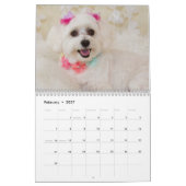 Malteser Welpen und Hunde Kalender (Feb 2027)