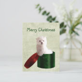 Malteser Welpen Weihnachten (Stehend Vorderseite)