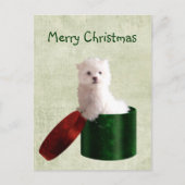 Malteser Welpen Weihnachten (Vorderseite)