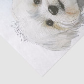 Malteser Welpenhund Seidenpapier (Detail)
