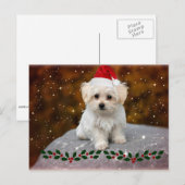 Malteser Welpenweihnachtsfest Feiertagspostkarte (Vorne/Hinten)