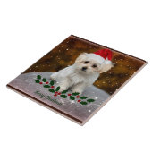 Malteser Welpenweihnachtsfest Fliese (Seite)