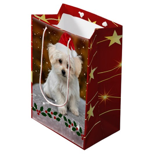 Malteser Welpenweihnachtsfest Mittlere Geschenktüte (Vorderseite Schrägansicht)