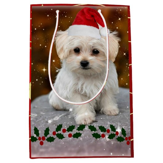 Malteser Welpenweihnachtsfest Mittlere Geschenktüte (Vorderseite)