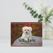 Malteser Welpenweihnachtsfest Postkarte (Stehend Vorderseite)