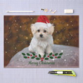 Malteser Welpenweihnachtsfest Seidenpapier (Handwerk)