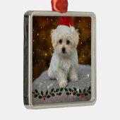 Malteser Welpenweihnachtsfest Silbernes Ornament (Rechts)