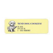 Malteserhund (Vorne)