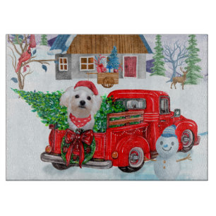 Malteserhund im Weihnachtslieferwagen Schnee Schneidebrett