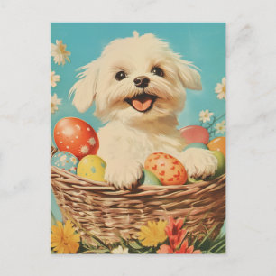 Malteserhund Vintage Ostern Postkarte