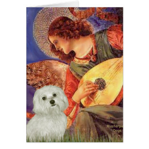 Maltesisch 11 - Mandolin Angel