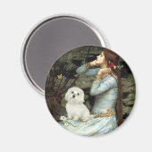 Maltesisch 11 - Ophelia Sitzplatz Magnet (Vorderseite/Rückseite)
